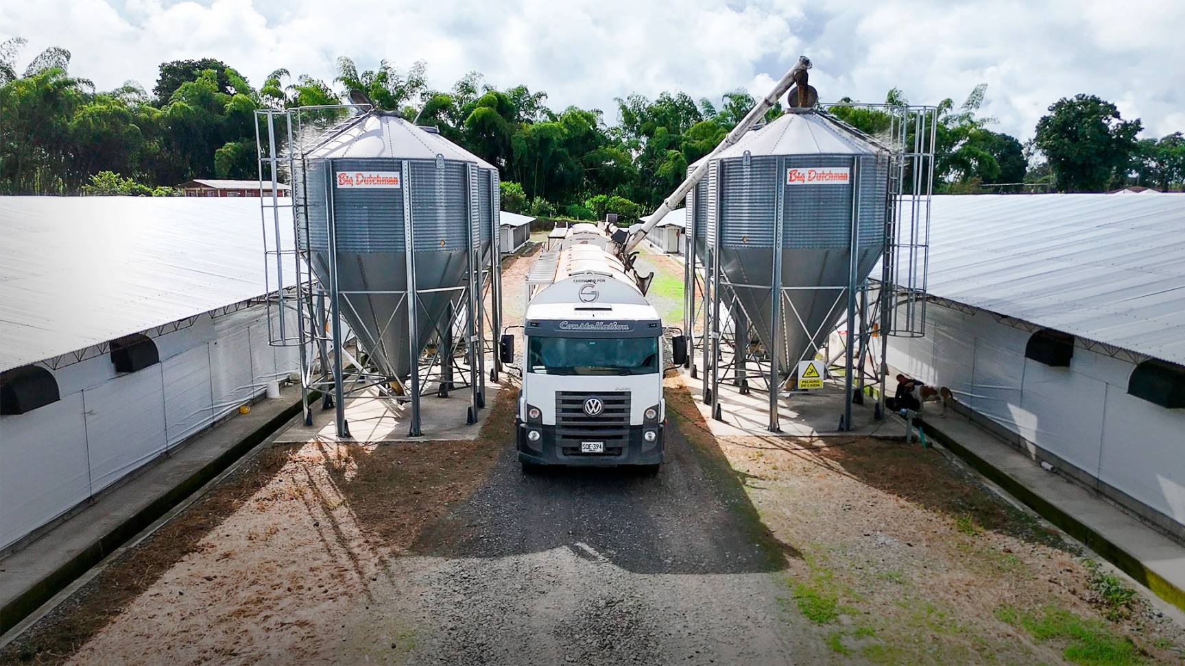 5 cosas que no sabías de Don Pollo