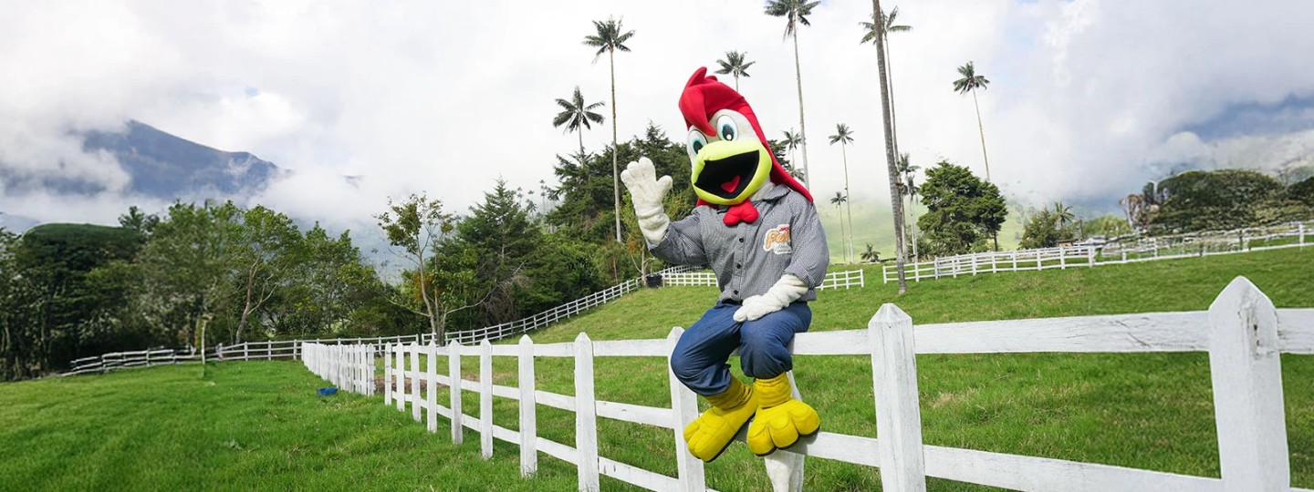 Transformación total: El éxito de la nueva imagen de la Tienda Don Pollo en Pereira, sector Cuba