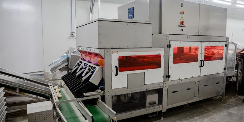 Boletín Agosto 2025